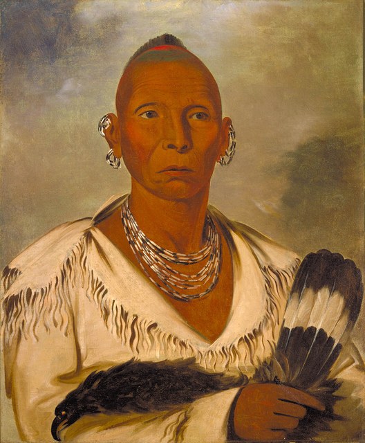 Black Hawk War